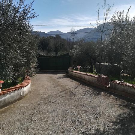 Sonnino Casa Fra Gli Ulivi Di Giuseppe旅馆 外观 照片