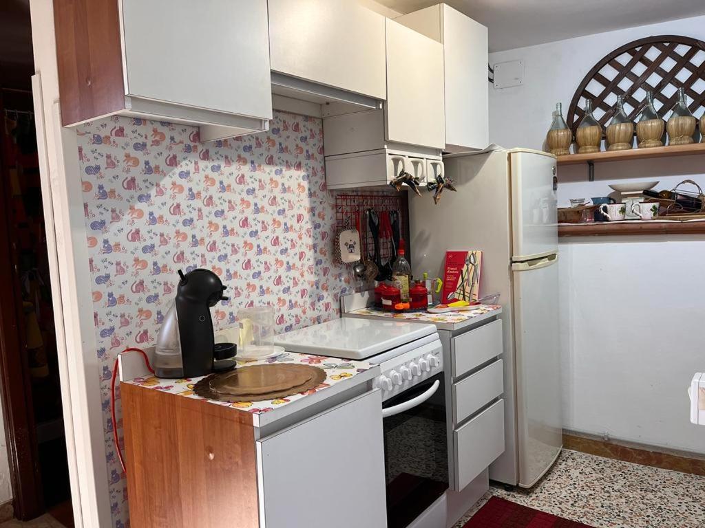 Sonnino Casa Fra Gli Ulivi Di Giuseppe旅馆 外观 照片