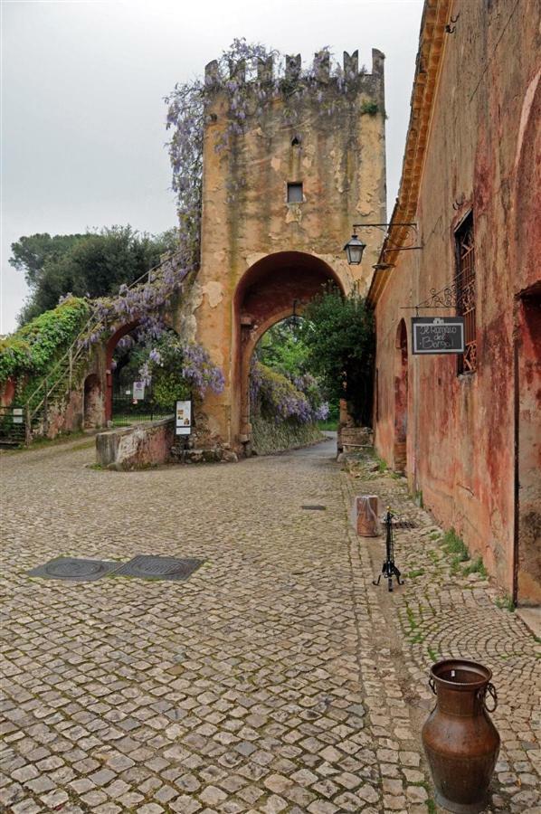 Sonnino Casa Fra Gli Ulivi Di Giuseppe旅馆 外观 照片